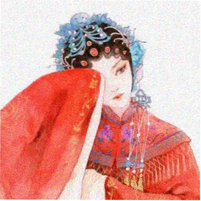 用户灰鸽子头像